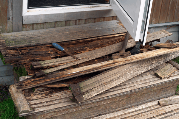 Wet or Dry Rot